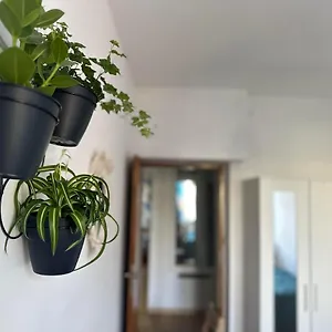 M&m Apartament